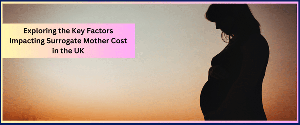 Cost of Mother Surrogate in UK